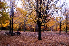 photo 0158